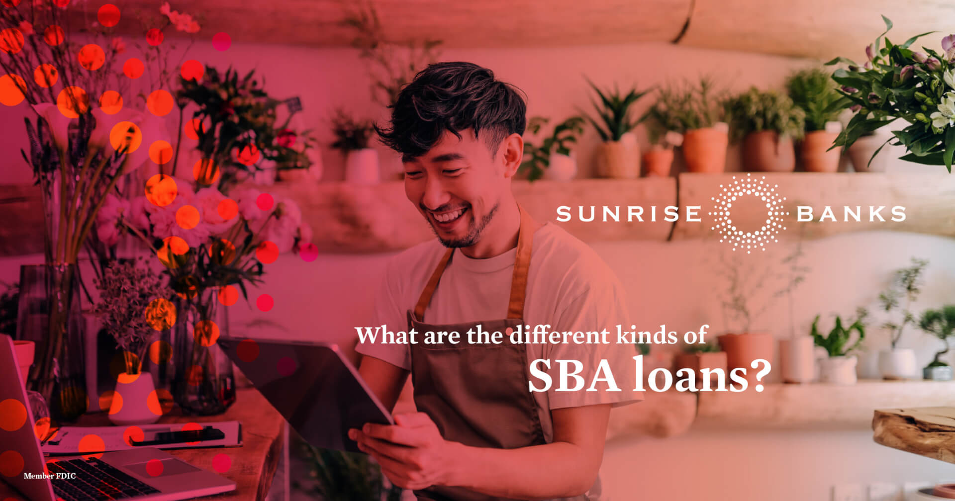 What are the different kinds of SBA loans?