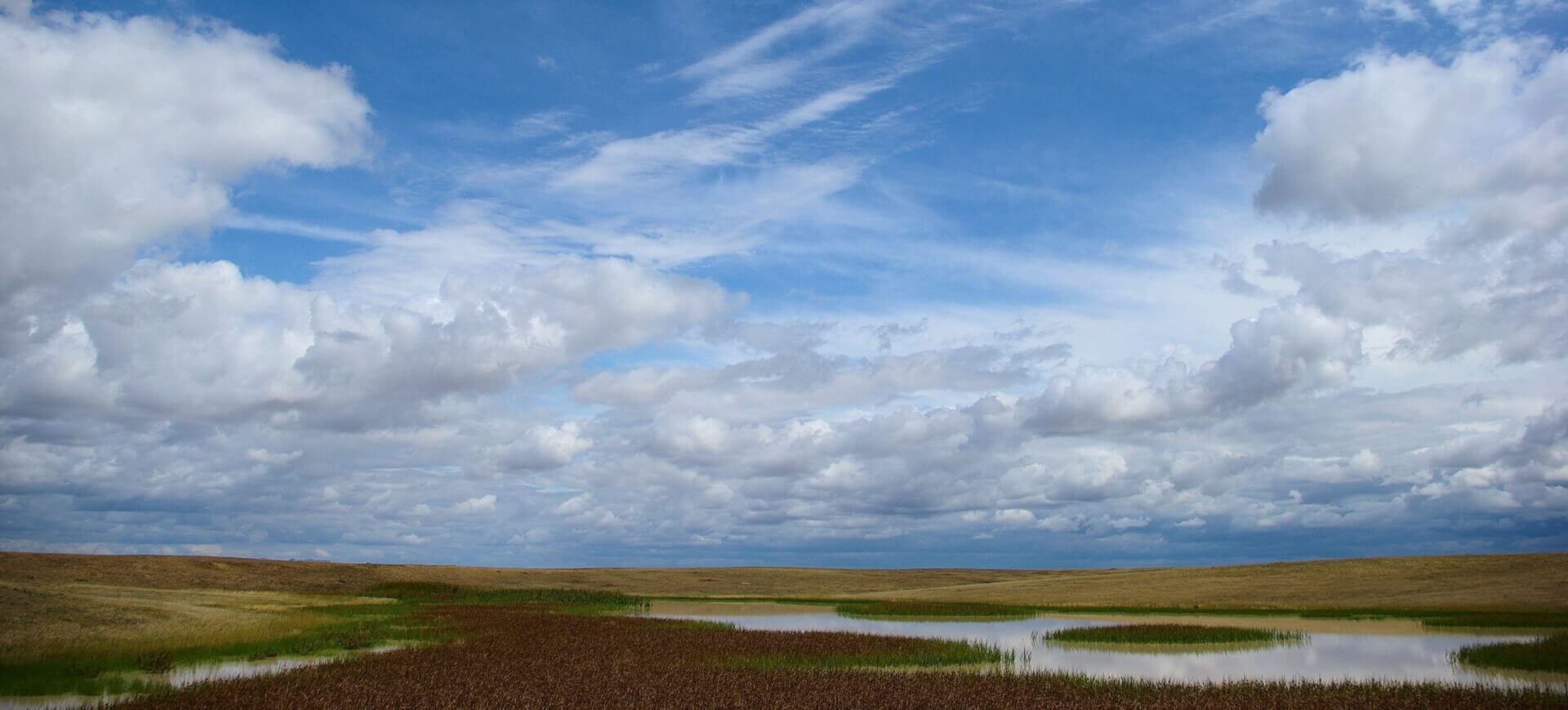 Buffalo Gap national grassland