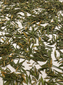 A table of dried herbs.
