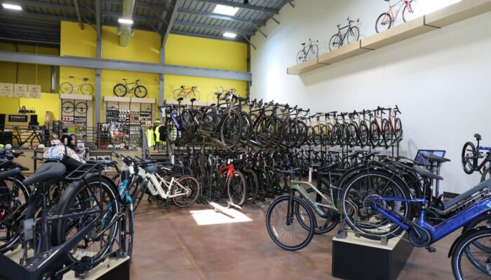 Rows of bikes inside a bike shop.